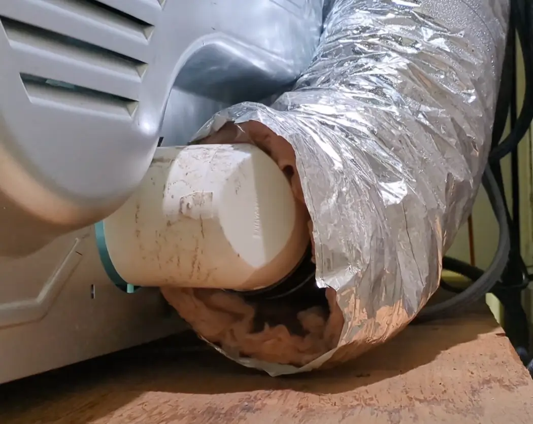 Image of Reconnect the vent hose to the dryer