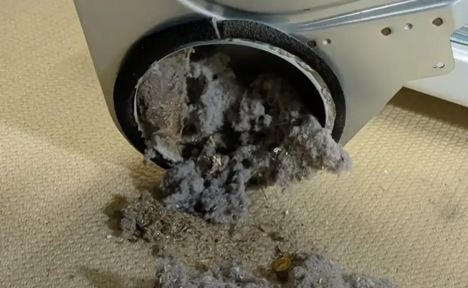 Image of Use a dryer vent brush